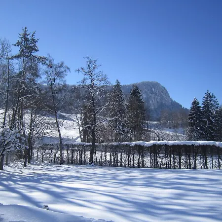 Chalet Vallonette * Chateau-d'Oex